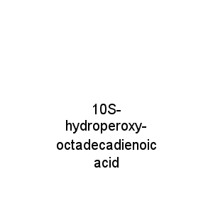 10S-hydroperoxy-octadecadienoic acid